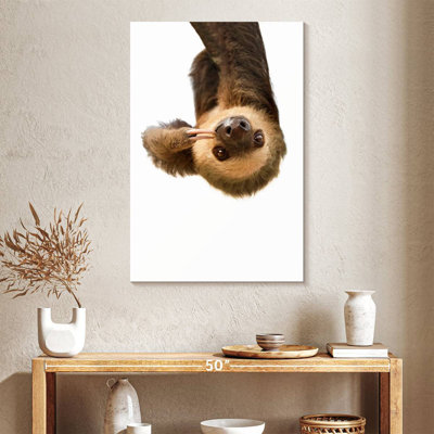 Brampt Silly Sloth