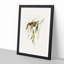Brown Honeyeater Birds by Elizabeth Gould - Picture Frame Graphic Art Print-55512991-55512990
