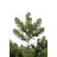 Teton 7.5' H Lighted Artificial Fir Christmas Tree
