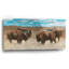  «Bison Herd 2» par Cindy Jacobs, art mural en verre acrylique, 24 po x 12 po-230991017
