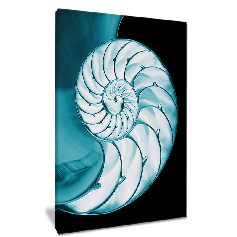 « compartimented nautilus shell », impression sur toile tendue, H 32 po x l 16 po x P 1 po
