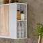Aglae Wall Mounted Optional Bathroom Cabinet