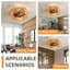 Ventilateurs de plafond en cage avec lumières