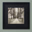 Alan Blaustein, «Veneto Giardini I», reproduction de photo encadrée-21031352-21031353
