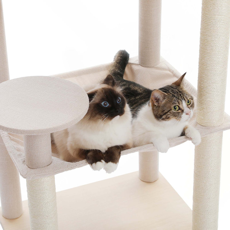 Arbre à chat multi-niveaux