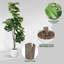 Arbre de violon artificiel, 6 pi