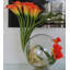 Pièce maîtresse en vase crosswinds calla lilies-25408407