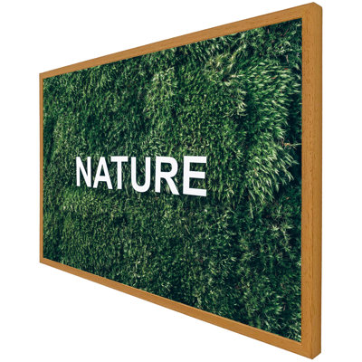 Cibecue Single Picture Frame Print