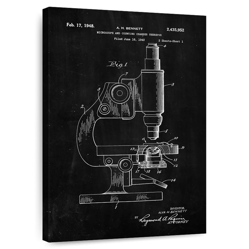 Microscope and Counting Chamber BW Kynaat, 48" H x 32" W