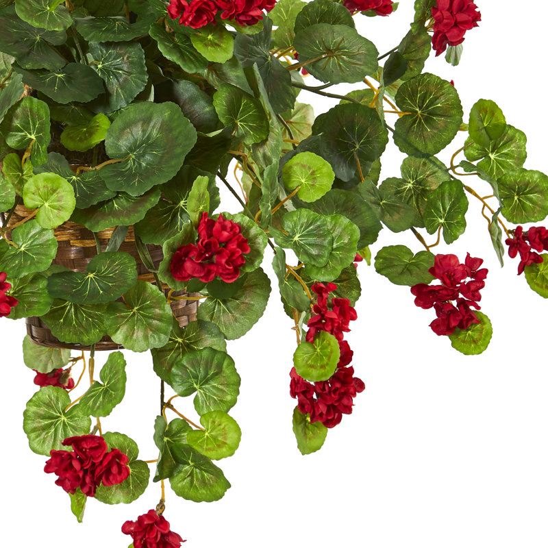 Geranium Hanging Basket Arrangement in Basket