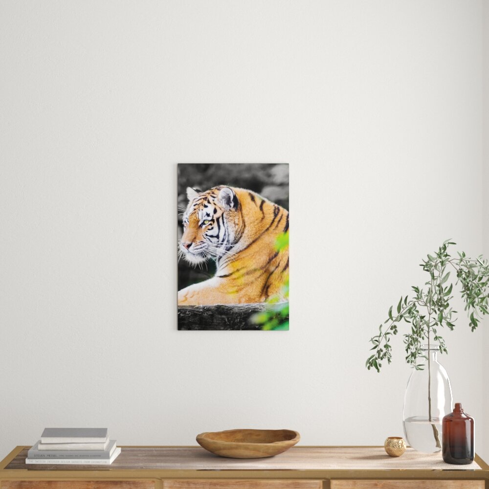 Leinwandbild Anmutiger Tiger auf Baumstamm