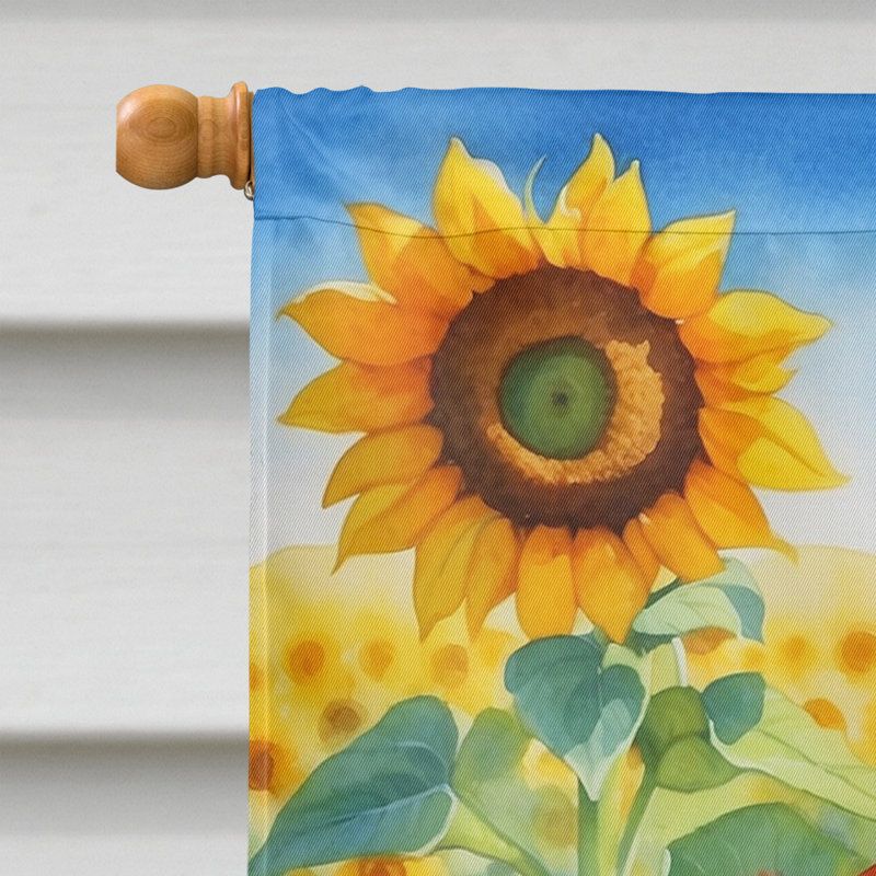 Drapeau de la maison du tournesol Malamute d'Alaska, Teckel