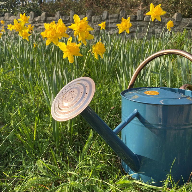 Metal Plant Stand, Blue