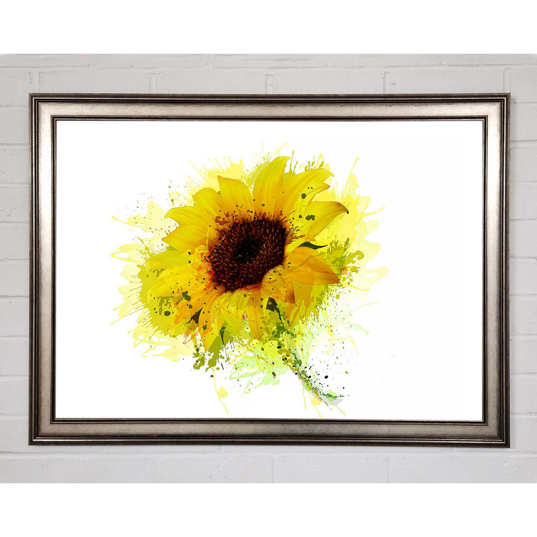 Sonnenblume Splash 1 Gerahmter Druck