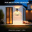 Matte Black 14cm H Outdoor Sconce