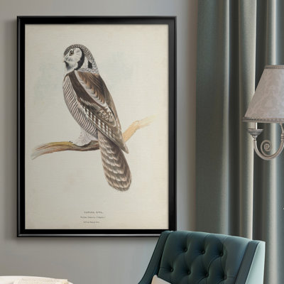 Toile encadrée de qualité supérieure Canada Owl - prête à être accrochée