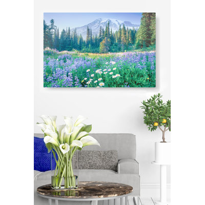 Mont Rainier, fleurs sauvages bleues, pins, lavande