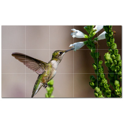 Photo d'oiseau 8 po x 8 po