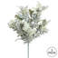 Dusty Miller Bush