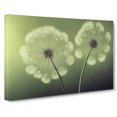 Soulful Dandelion Flowers - Wrapped Canvas