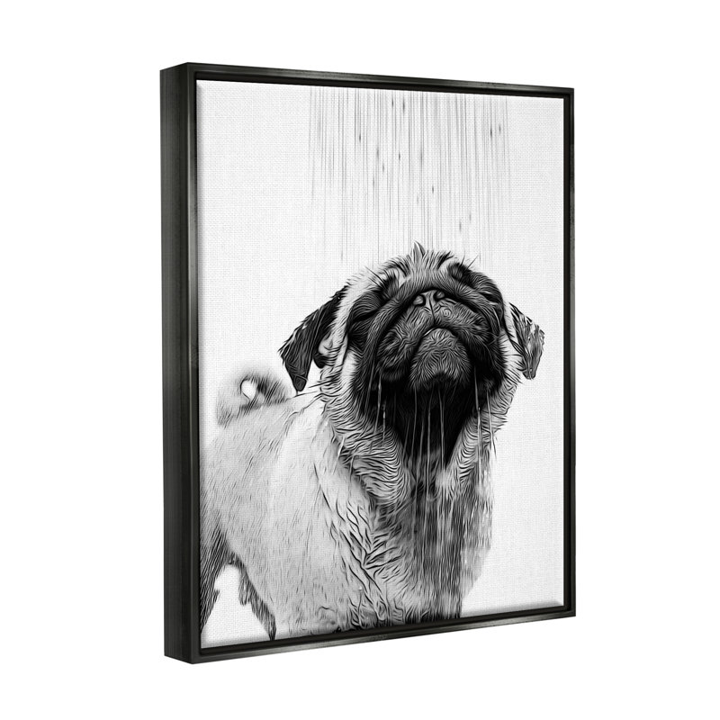 «Pug Bathroom Splash» par Annalisa Latella, H 21 po x l 17 po x P 1,7 po, Cadre flottant noir de jais