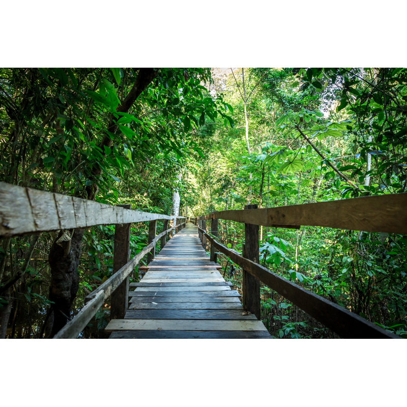 Chemin vers la jungle par Filipefrazao, H 24 po x l 36 po