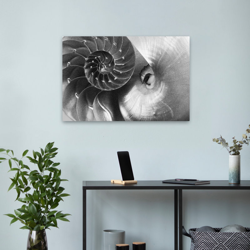 Nautilus côtier Yin Yang, H 24 po x l 16 po