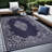 Aldo Indoor / Outdoor Rug-111775239