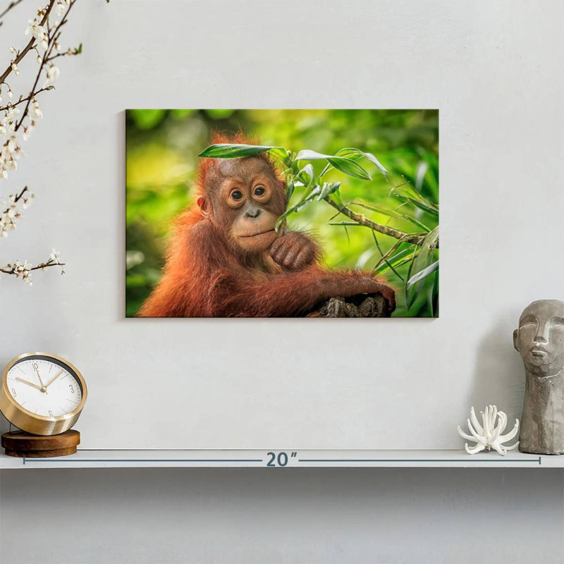 Leaf Munching Orangutan, 8" H x 12" W