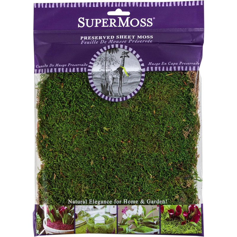 Fresh Green Preserved Sheet Moss for Home Decor Projects
