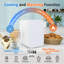 Mini Fridge 4L Car Refrigerator With LED Mirror, 3 Light Countertop Mini Fridge with Freezer-116984569-133000343