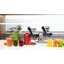 Efficient Juicer by SIFENE, 2-Speed, Stainless Steel, Slow Masticating, Cold Press-94225461