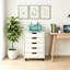 48 cm W 5 -Drawer Wheels / Casters included Mobile Filing Cabinet-1343905473