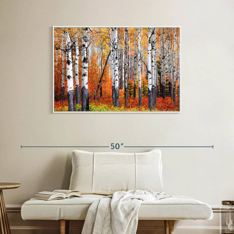 Forêt de trembles de Banff, Cadre flottant blanc, 40 po x 27 po