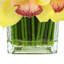 Orchidée Lehn dans un vase en verre-1900645592