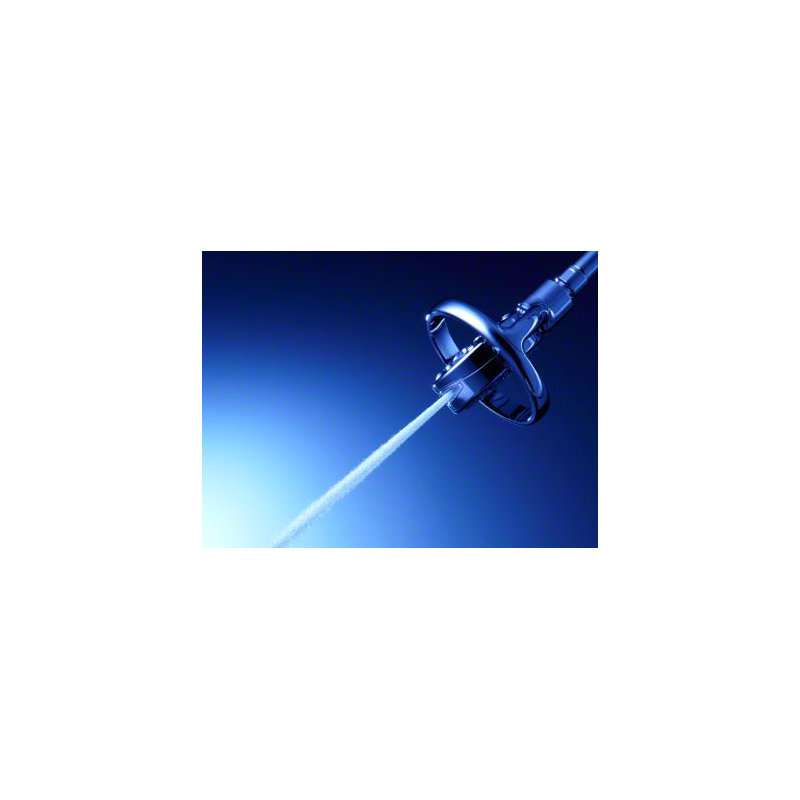 Flipside 2.5 GPM Multifunction Wall-Mount Showerhead