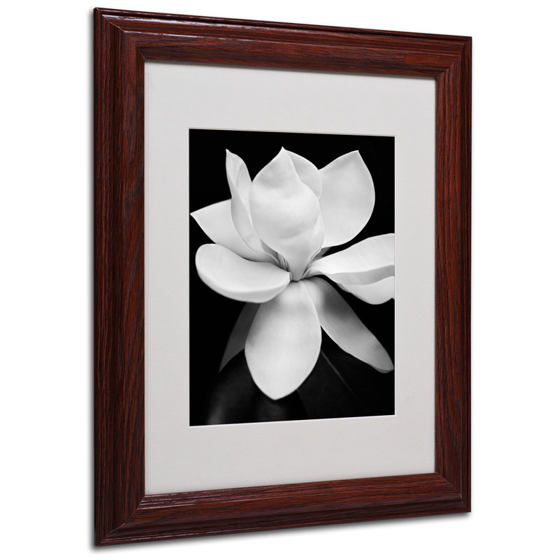 Reproduction de photo sur toile encadrée « Magnolia » par Michael Harrison, H 16,8 po x l 13,8 po x P 0,75 po
