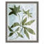 Sprout And Sprig Print by Susan Hable