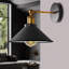 Alizeh Wall Sconce