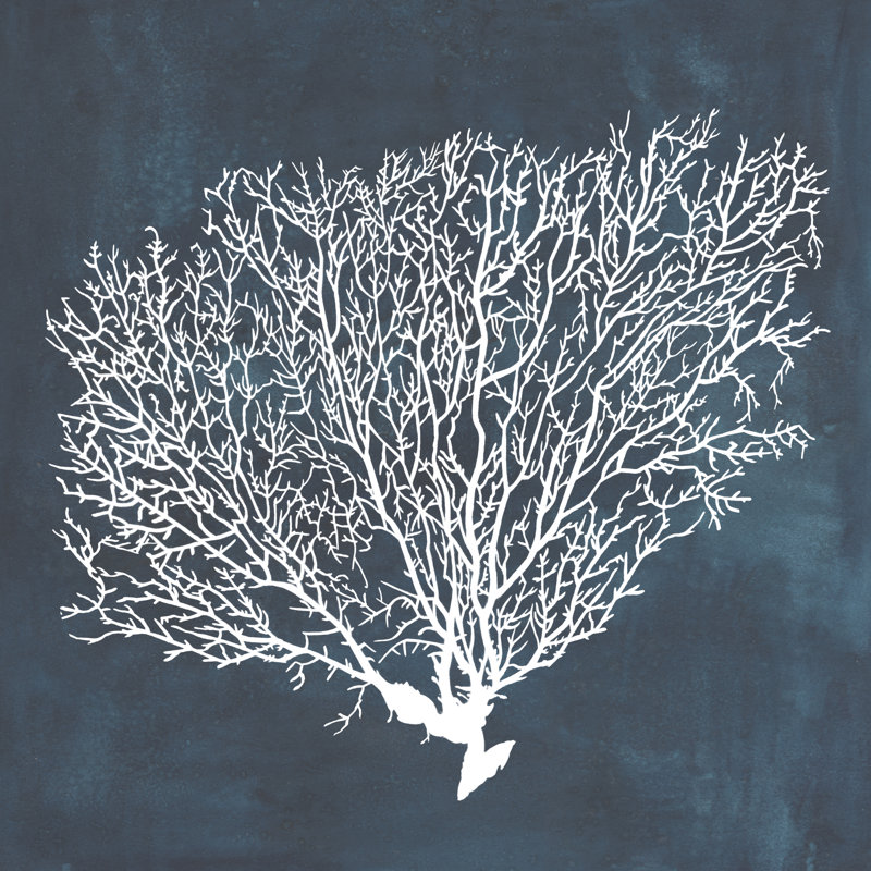 Inverse Sea Fan II by Grace Popp - Wrapped Canvas Painting, 30cm H x 30cm W x 3.8cm D