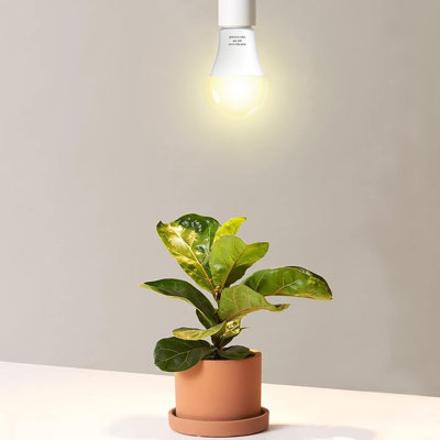 Grow Light Bulb-3