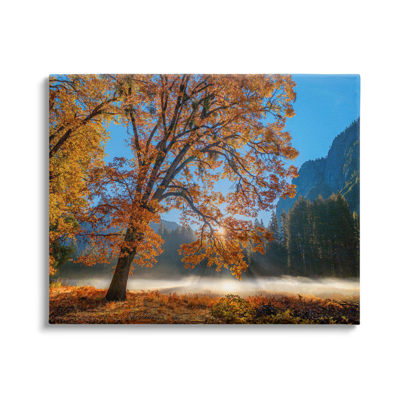 Picture Frame Photograph on MDF, Wrapped Canvas, 48" W x 36" H