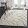 Ashal Animal Print Cream/Gray Area Rug