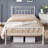 Delaenie Metal Platform Bed-2054977484-2054977472