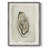 Soft Half Shell II Framed Print - Solid Wood-644743632