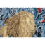 Cotton Wall Hanging