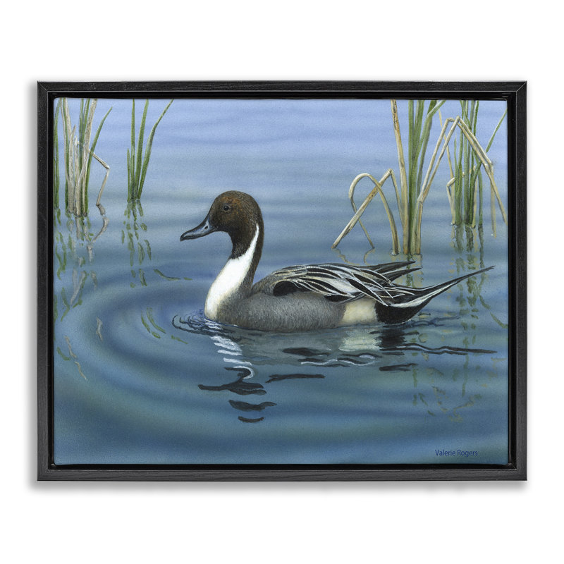  «Pintail Loon in Pond Floater», art mural sur toile par Valerie Rogers, Cadre flottant noir de jais, H 17 po x l 21 po