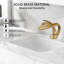 Basin Sink Faucet Single-Handle Bathroom Faucet-90991806