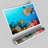 Underwater Turtle And Fish - No Frame Print-48112931