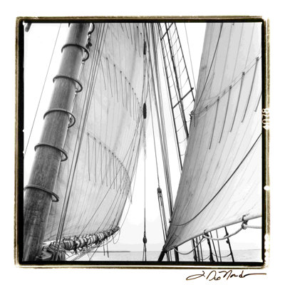 Under Sail II by Laura DeNardo - Wrapped Canvas Photograph